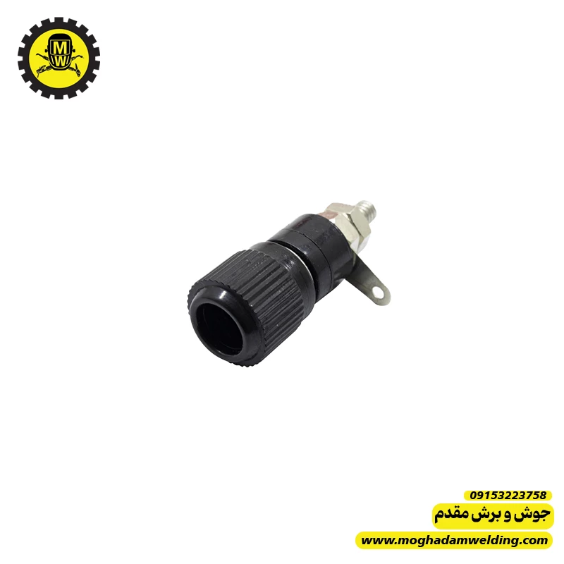 فیش موزی مادگی 