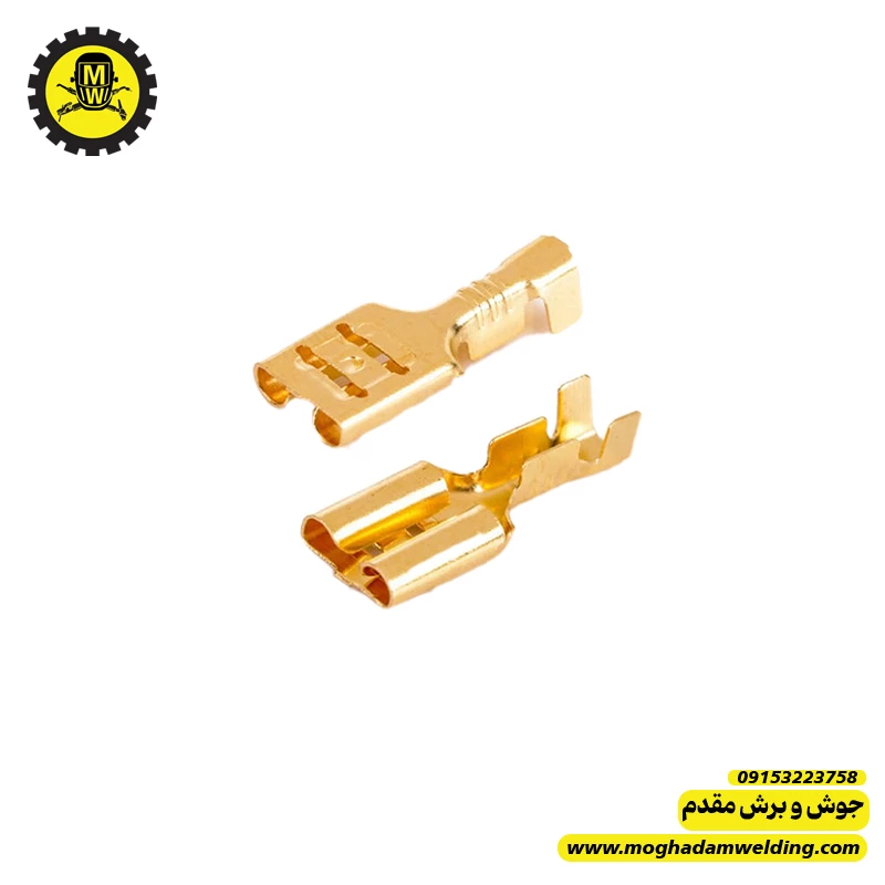 فیش کولری مادگی سایز بزرگ