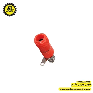 فیش موزی مادگی 