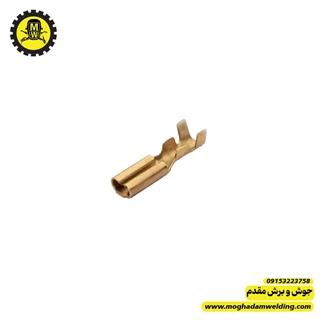 فیش کولری مادگی کوچک