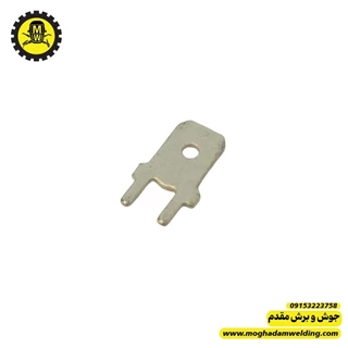 فیش کولری نری روی بردی