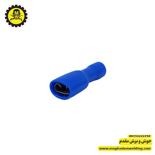 فیش کولری مادگی سایز بزرگ