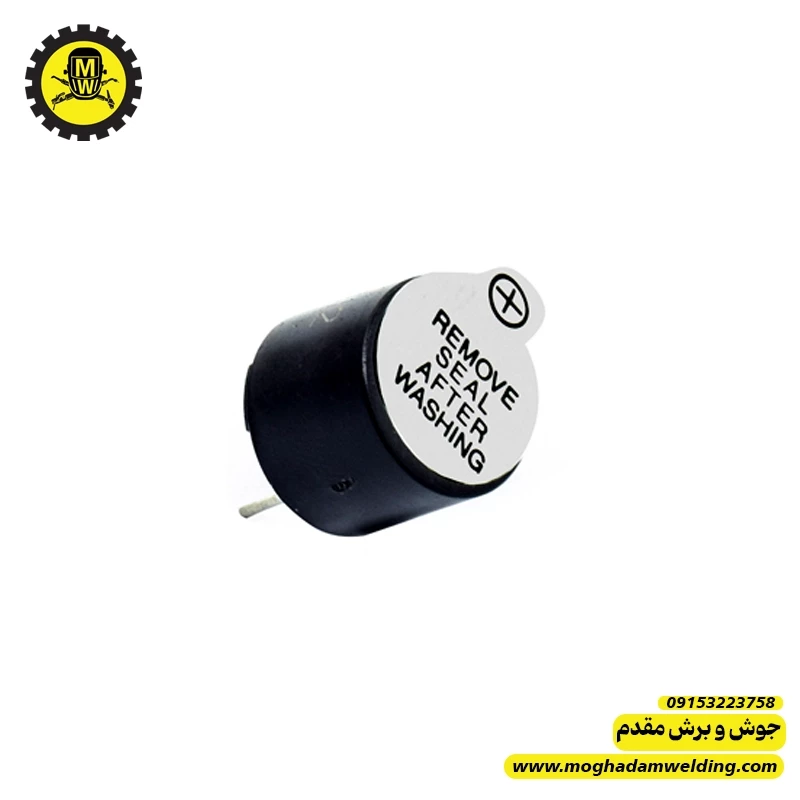 بیزر 12 ولتی