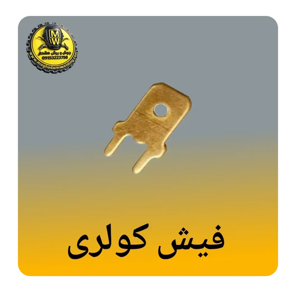 فیش کولری